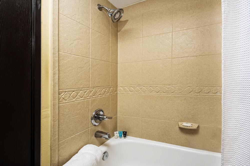 Hotel Crowne Plaza - Near Sugar Land 4*